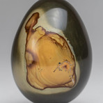 Genuine Polished Polychrome Jasper Egg + Acrylic Display Stand // V1