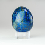 Genuine Polished Lapis Lazuli Egg + Acrylic Display Stand // V1