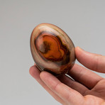 Genuine Polished Polychrome Jasper Egg + Acrylic Display Stand // V2