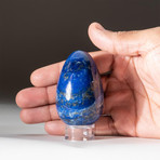 Genuine Polished Lapis Lazuli Egg + Acrylic Display Stand // V2