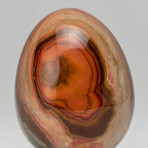 Genuine Polished Polychrome Jasper Egg + Acrylic Display Stand // V2