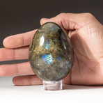 Genuine Polished Labradorite Egg + Acrylic Display Stand // V3