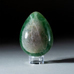 Genuine Polished Green Fluorite Egg + Acrylic Display Stand // V3