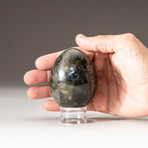 Genuine Polished Labradorite Egg + Acrylic Display Stand // V1