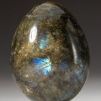 Genuine Polished Labradorite Egg + Acrylic Display Stand // V3