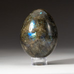 Genuine Polished Labradorite Egg + Acrylic Display Stand // V3