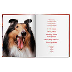 Walter Chandoha // The Dog Book