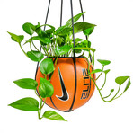 Plantsketball // Repurposed Nike Basketball Planter (Leather Hanging Display)