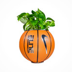 Plantsketball // Repurposed Nike Basketball Planter (Leather Hanging Display)