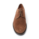 Capri Blucher Shoe // Brown (Euro: 44)