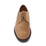 Catania Blucher Shoe // Brown (Euro: 43)