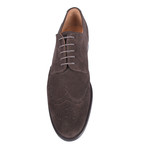 Albany Oxford Shoe // Brown (Euro: 45)