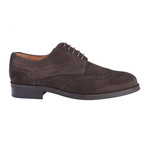 Albany Oxford Shoe // Brown (Euro: 42)