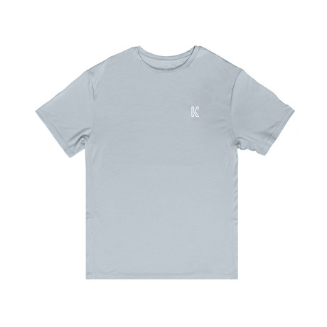 Cinnamon T-Shirt // Gray (Small)