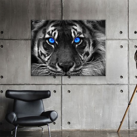 Blue Eyed Tiger (24"W x 16"H x 1.5"D)