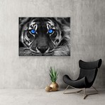 Blue Eyed Tiger (24"W x 16"H x 1.5"D)