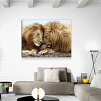 Kissing Lions (24"W x 16"H x 1.5"D)