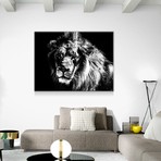 Lion Portrait (24"W x 16"H x 1.5"D)