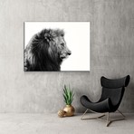 King Of The Jungle (24"W x 16"H x 1.5"D)