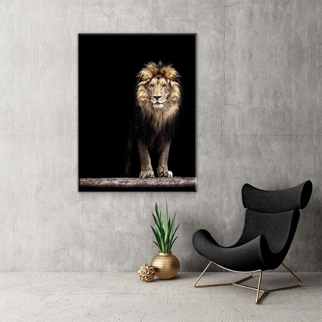 Majestic Lion (24"W x 16"H x 1.5"D)
