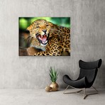 Snarling Leopard (24"W x 16"H x 1.5"D)