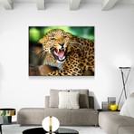 Snarling Leopard (24"W x 16"H x 1.5"D)