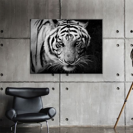 White Tiger Portrait (24"W x 16"H x 1.5"D)