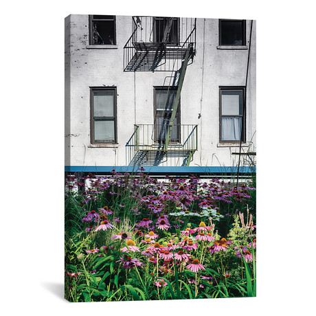 Urban Meadow, New York City // George Oze (18"W x 26"H x 1.5"D)