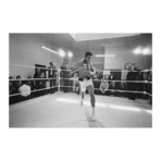 Ali In Training // V1 (14"W x 12"H x 2"D)