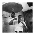 Ali In Training // V2 (14"W x 14"H x 2"D)