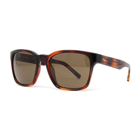 Men's SF959S-214 Sunglasses // Tortoise