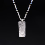 Genuine Natural Seymchan Meteorite Pendant + 18" Sterling Silver Chain // V5