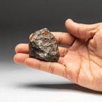 Genuine Natural Canyon Diablo Meteorite // V1