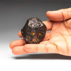 Genuine Natural Canyon Diablo Meteorite // V2