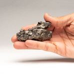 Genuine Natural Sikhote-Alin Meteorite