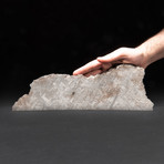 Genuine Gibeon Meteorite Slab + Acrylic Display Stand