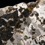 Genuine Seymchan Pallasite Meteorite Slab + Acrylic Display Stand