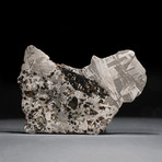 Genuine Seymchan Pallasite Meteorite Slab + Acrylic Display Stand