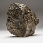 Genuine Natural 020 Dhofar Meteorite