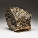 Genuine Natural 020 Dhofar Meteorite