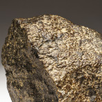 Genuine Natural 020 Dhofar Meteorite