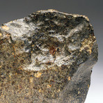 Genuine Natural 020 Dhofar Meteorite