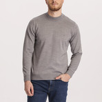 Slim Fit Woolly Half Turtleneck Sweater // Light Gray (Small)