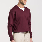 Classic Cut Wool V-Neck Sweater // Burgundy (Small)