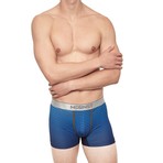Ombré Stripe Boxer Brief // Blue (L)