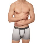 Ombré Boxer Brief // Light Gray (L)