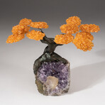 The Money Tree // Genuine Custom Citrine Clustered Gemstone Tree + Amethyst Matrix with Calcite Crystal