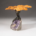 The Money Tree // Genuine Custom Citrine Clustered Gemstone Tree + Amethyst Matrix with Calcite Crystal