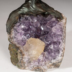 The Money Tree // Genuine Custom Citrine Clustered Gemstone Tree + Amethyst Matrix with Calcite Crystal