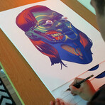 Smithe One // Meddle (Blue Orange Blend)